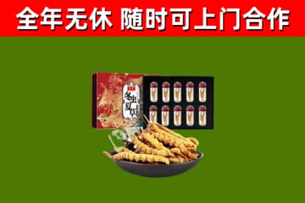 六合区烟酒回收冬虫夏草礼盒.jpg