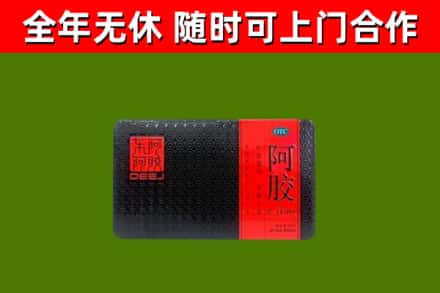 六合区回收阿胶